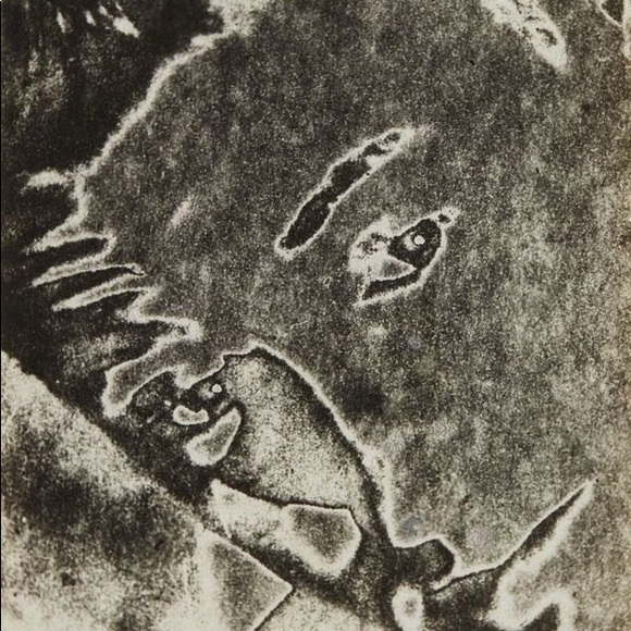 Meet your Posher, Linda - Picture 1 of 1